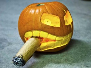 cigar-pumpkin Pumpkin smoking a cigar