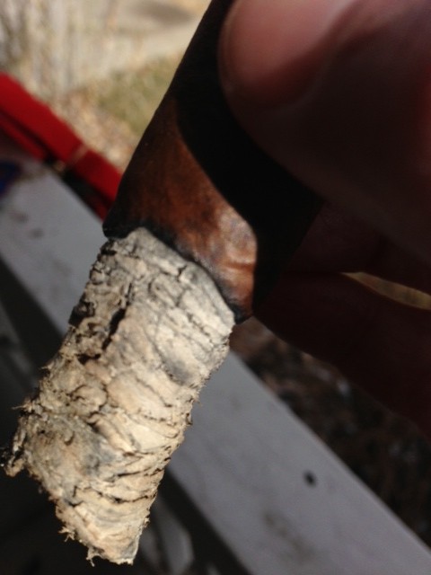 Aging-Room-F55-Cigar-Rating Aging Room F55 Quattro Cigar Rating