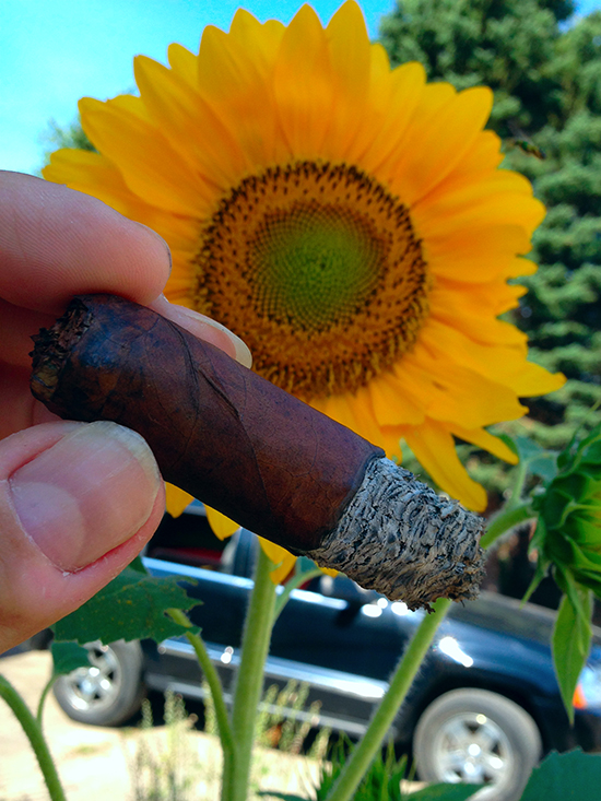 la-gloria-cubana-esteli La Gloria Cubana Serie R Esteli cigar review and rating