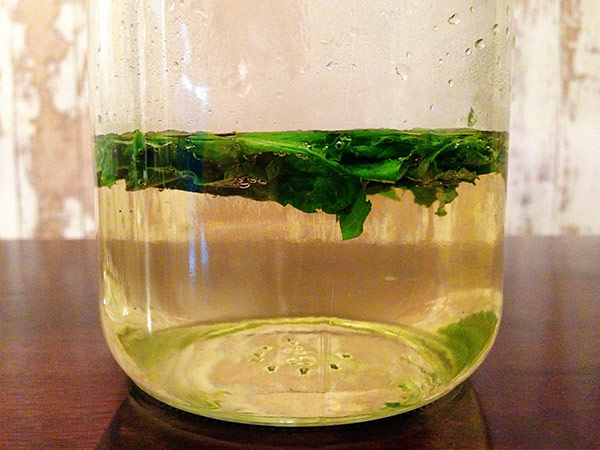 Mint simple syrup