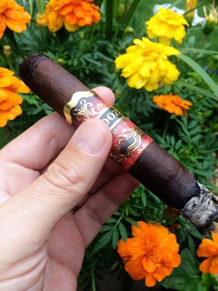 Arandoza Red Label cigar review and rating