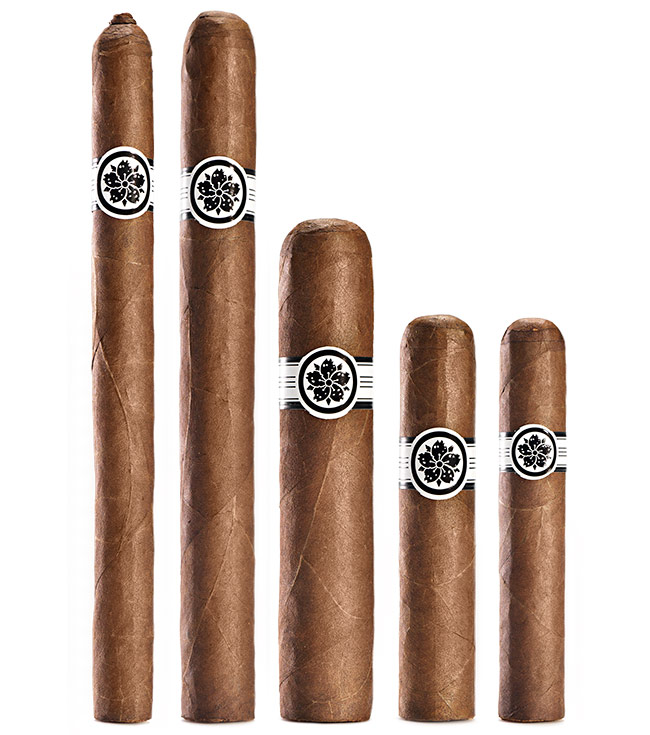 Room101 Master Collection Three cigars
