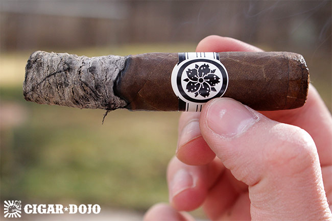 Room101 Master Collection Three Roxxo cigar review