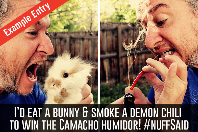 Camacho Cigars example entry