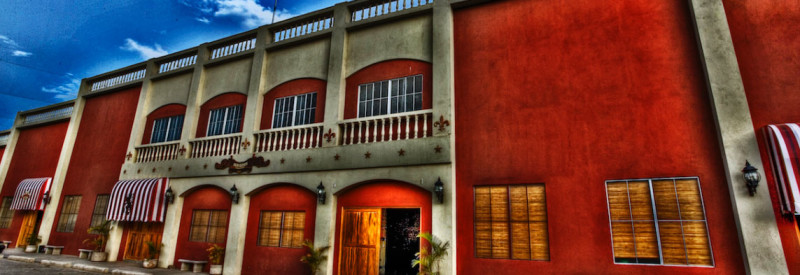 Cigar Dojo Cigar Safari