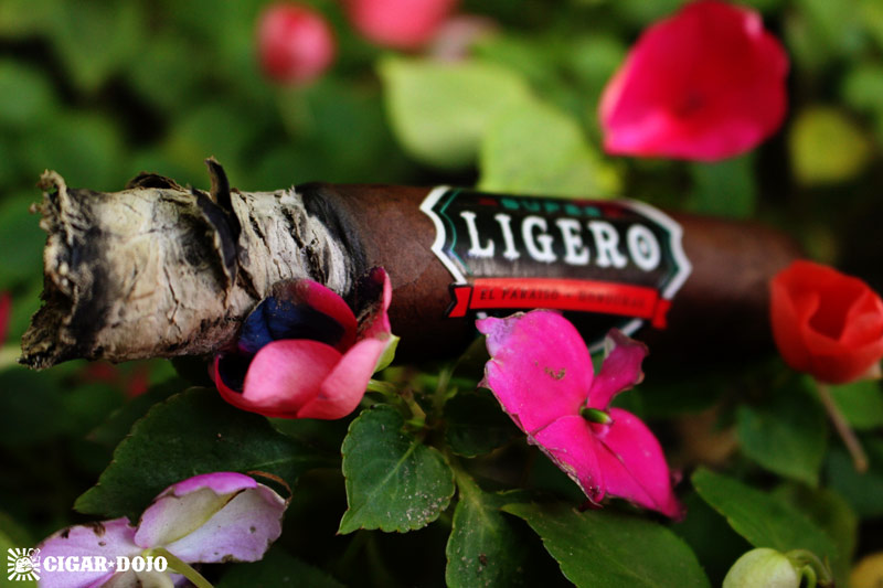 Rocky Patel Super Ligero Toro cigar review