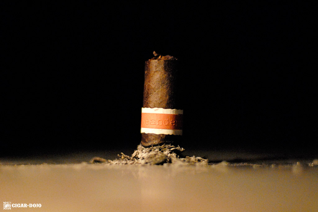 RoMa Craft Neanderthal HN cigar review and rating