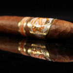 Espinosa Laranja Reserva DeSocio cigar head