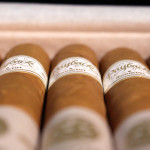 Room101 The Big Payback Connecticut robusto cigars