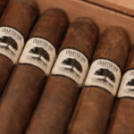 Foundation Cigar Co. Charter Oak cigars