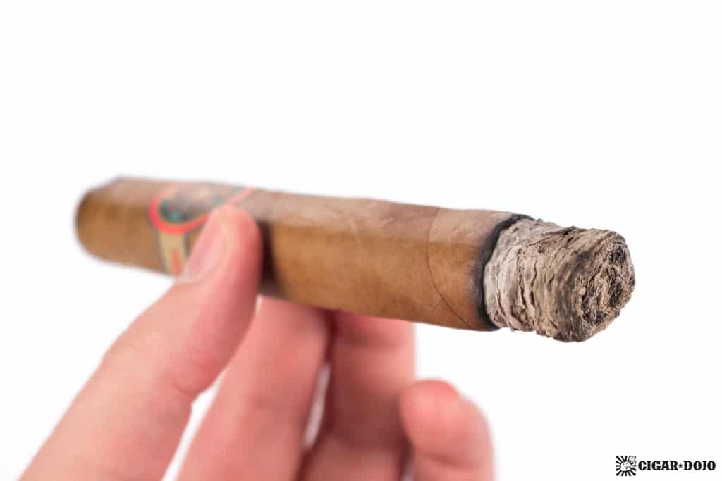 Bombay Tobak Gaaja cigar smoking