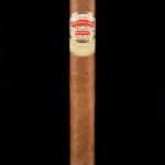 Particulares #1 toro cigar