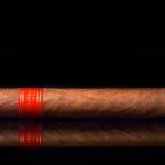 Partagas Heritage Robusto cigar side