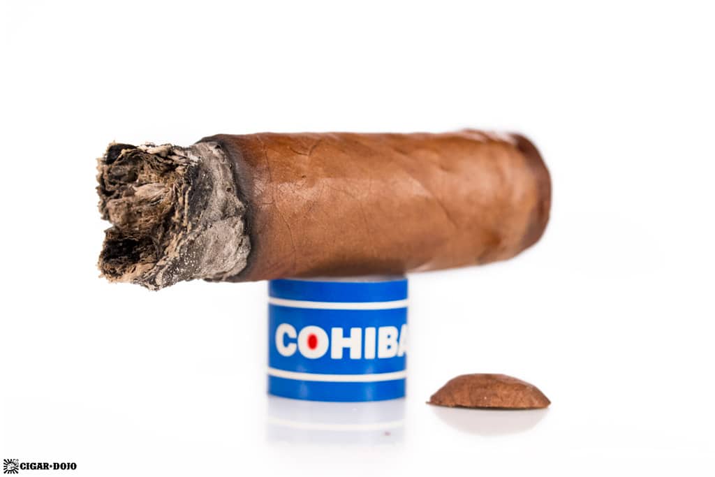 Cohiba Blue Robusto cigar nub