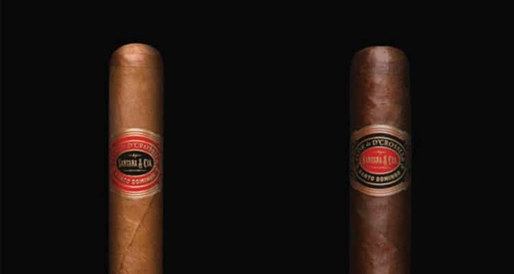 Flor de D’Crossier Selection No.512