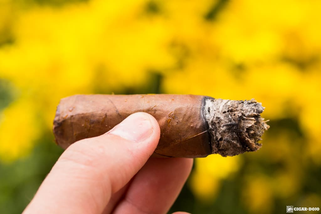 Espinosa Reggae DREAD review