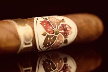 Room101 Caldwell Hit & Run Corona Gorda cigar review