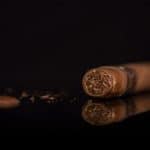 Asylum 13 Medulla Oblongata cigar cut cap