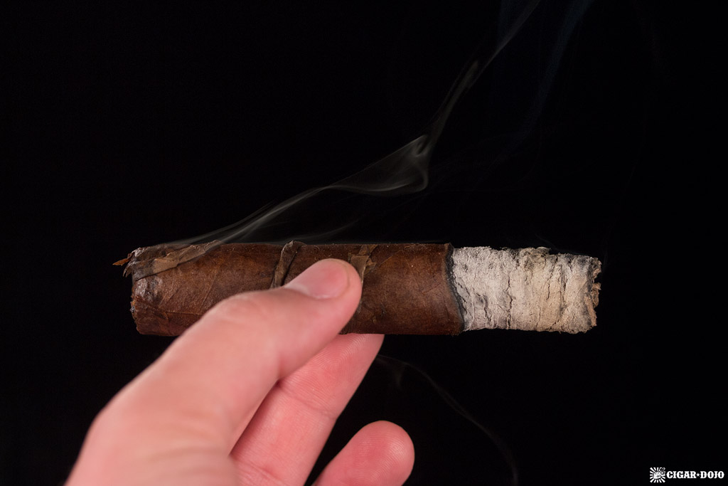 CAO Amazon Anaconda Toro review