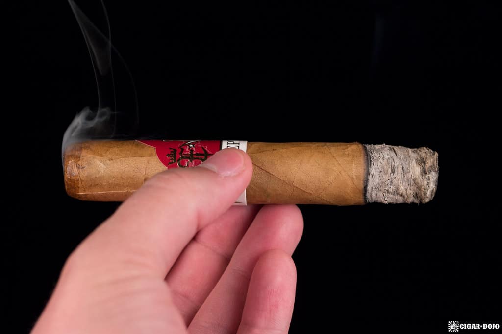 Crux Epicure Robusto cigar smoking