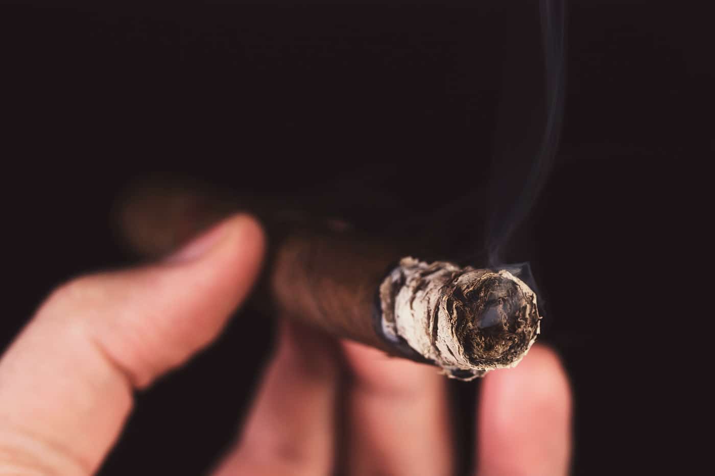 Oliva Gilberto Reserva Corona cigar review