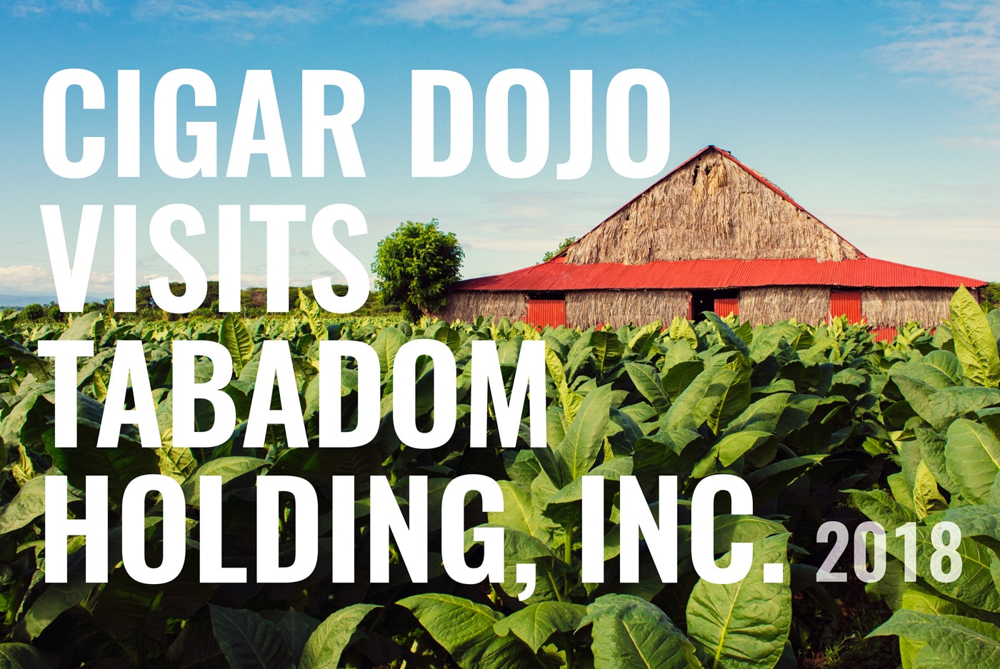 Davidoff Tabadom Holding, Inc. tour
