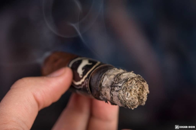 Protocol K9 cigar smoking