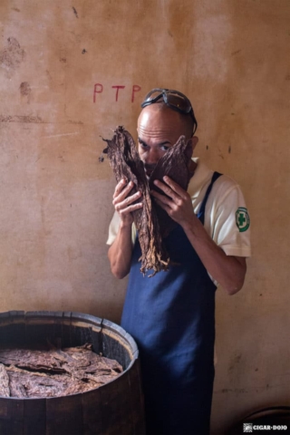 Davidoff Winston Churchill The Late Hour barrel-aged tobacco