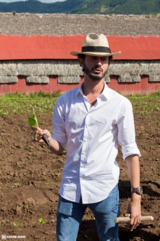 Klaas Kelner tobacco transplanting