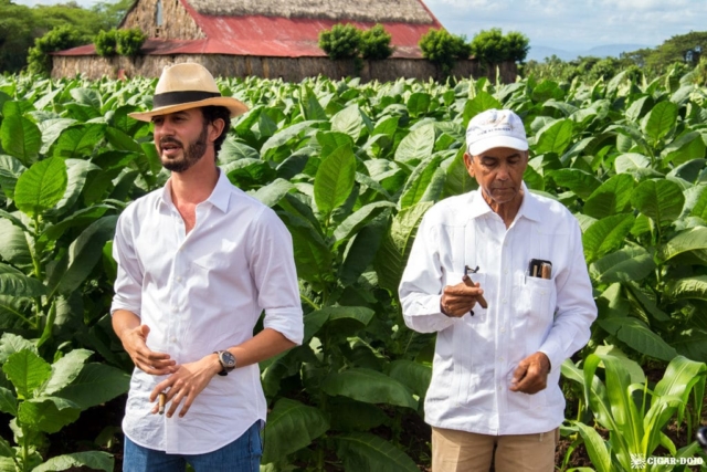 Klaas Kelner Manuel Peralta Davidoff farm