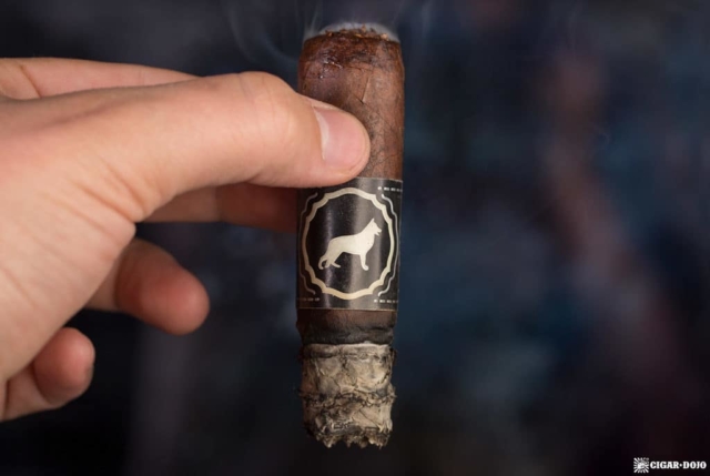 Cigar Dojo Protocol K9 cigar smoking