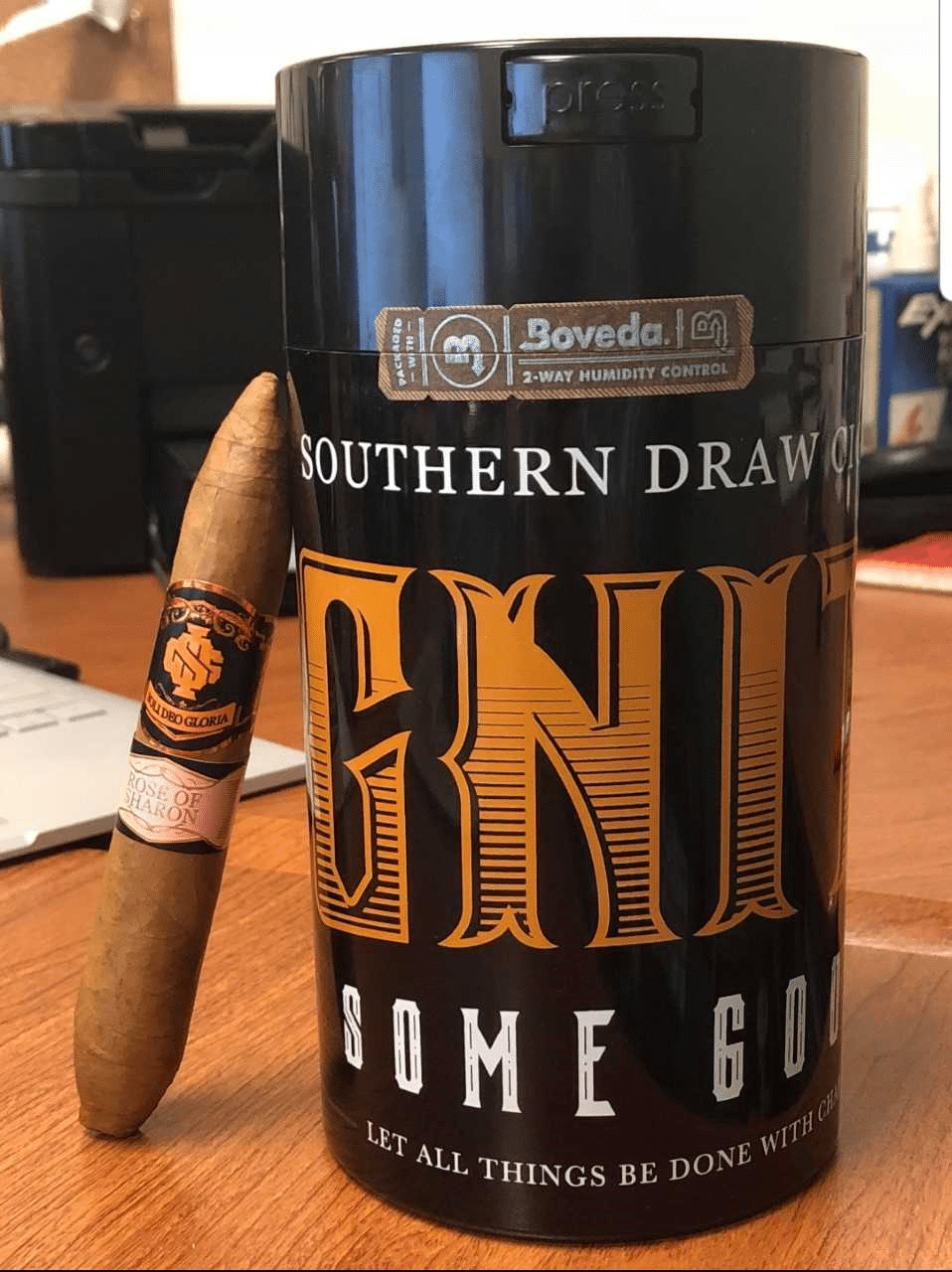 Southern Draw IGNITE Rose of Sharon Perfecto