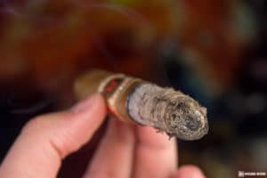 Arturo Fuente Casa Cuba Divine Inspiration cigar ash
