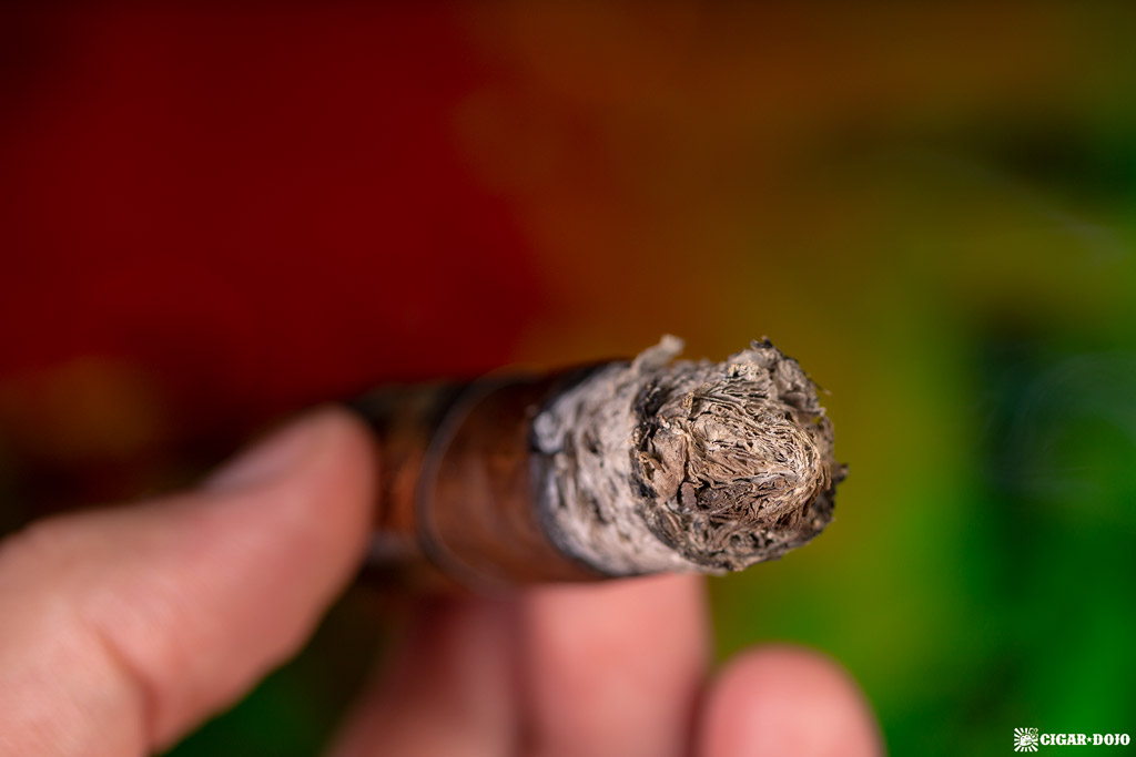 Partagas 1845 Clasico robusto cigar ash