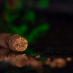 Partagas 1845 Clasico robusto cigar cut head