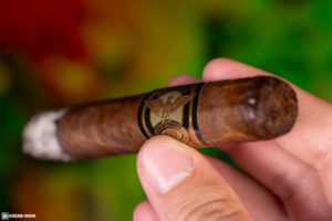 Partagas 1845 Clasico robusto cigar smoking