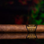 Partagas 1845 Clasico robusto cigar side view