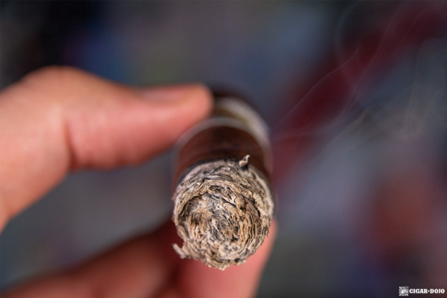 Room101 Cigar Dojo [untitled] noodles cigar ash