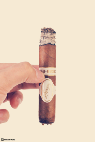 Davidoff Cigar Dojo Exclusive 2018 review