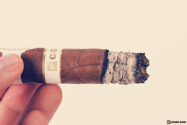 Davidoff Cigar Dojo Exclusive 2018 ash