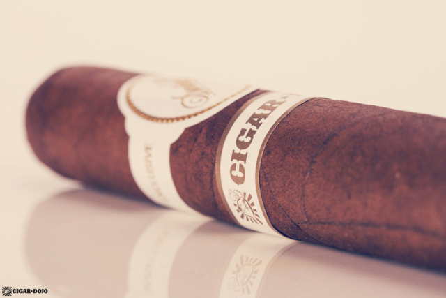 Davidoff Cigar Dojo Exclusive 2018 closeup