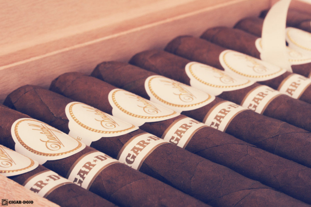 Davidoff Cigar Dojo Exclusive 2018 cigars in box