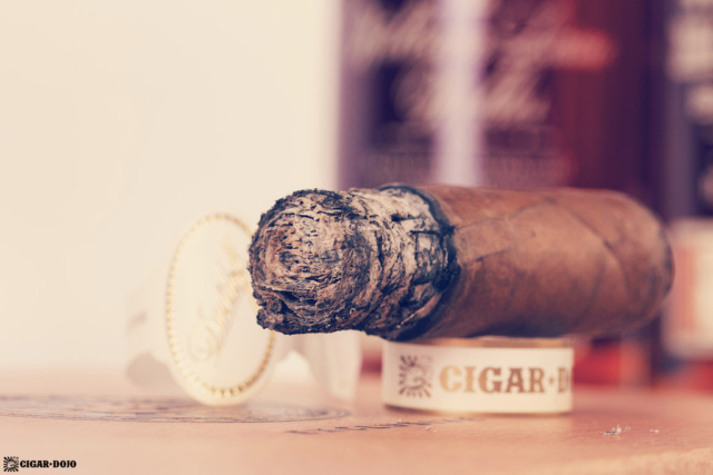 Davidoff Cigar Dojo Exclusive 2018 cigar nubbed