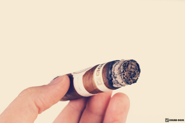 Davidoff Cigar Dojo Exclusive 2018
