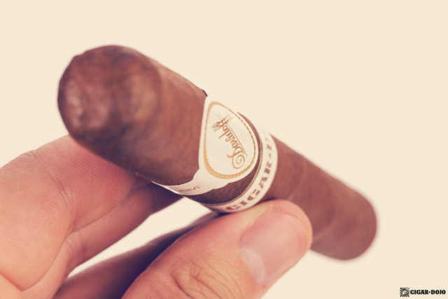 Davidoff Cigar Dojo Exclusive 2018 cigar head