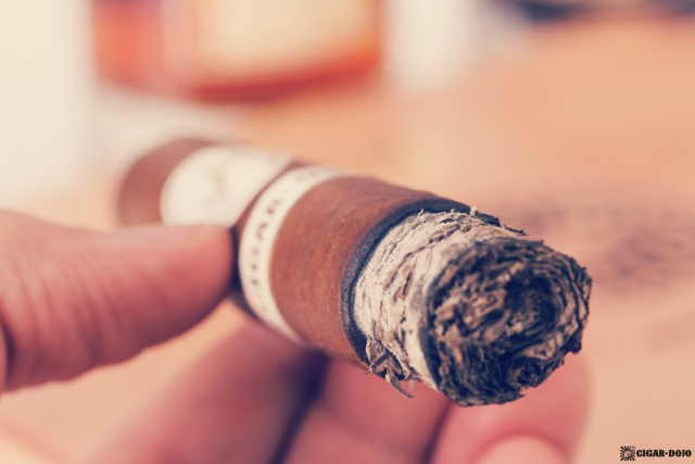 Davidoff Cigar Dojo Exclusive 2018 ash