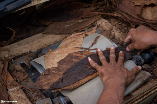 Camacho cigar bunching