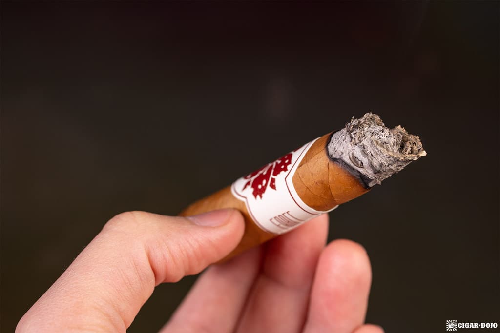 Room101 Farce Connecticut Robusto cigar ash