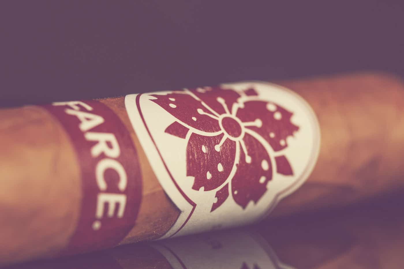 Room101 Farce Connecticut Robusto cigar review