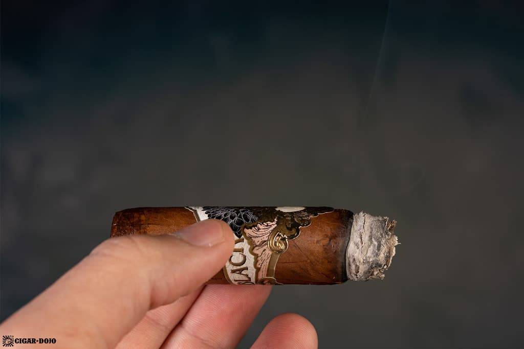 Gran Habano STK Black Dahlia Robusto review
